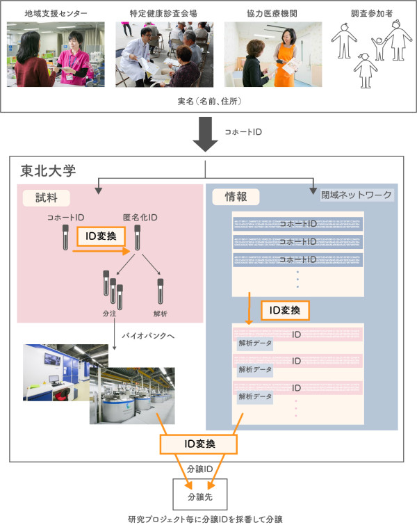 cohort security image