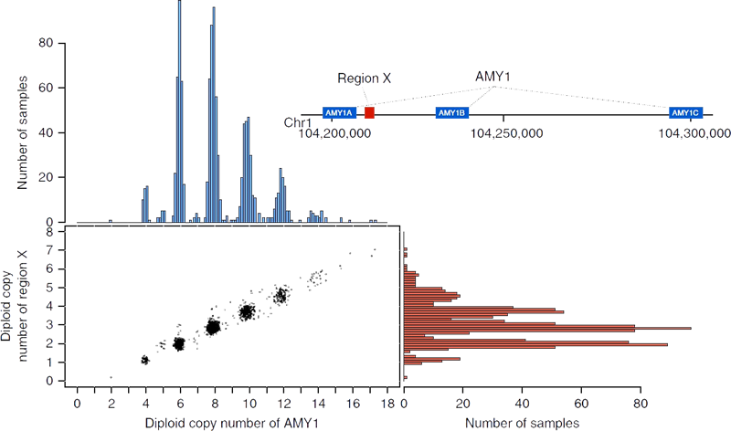 Figure: Properties of genomic variation discovered in 1KJPN. 