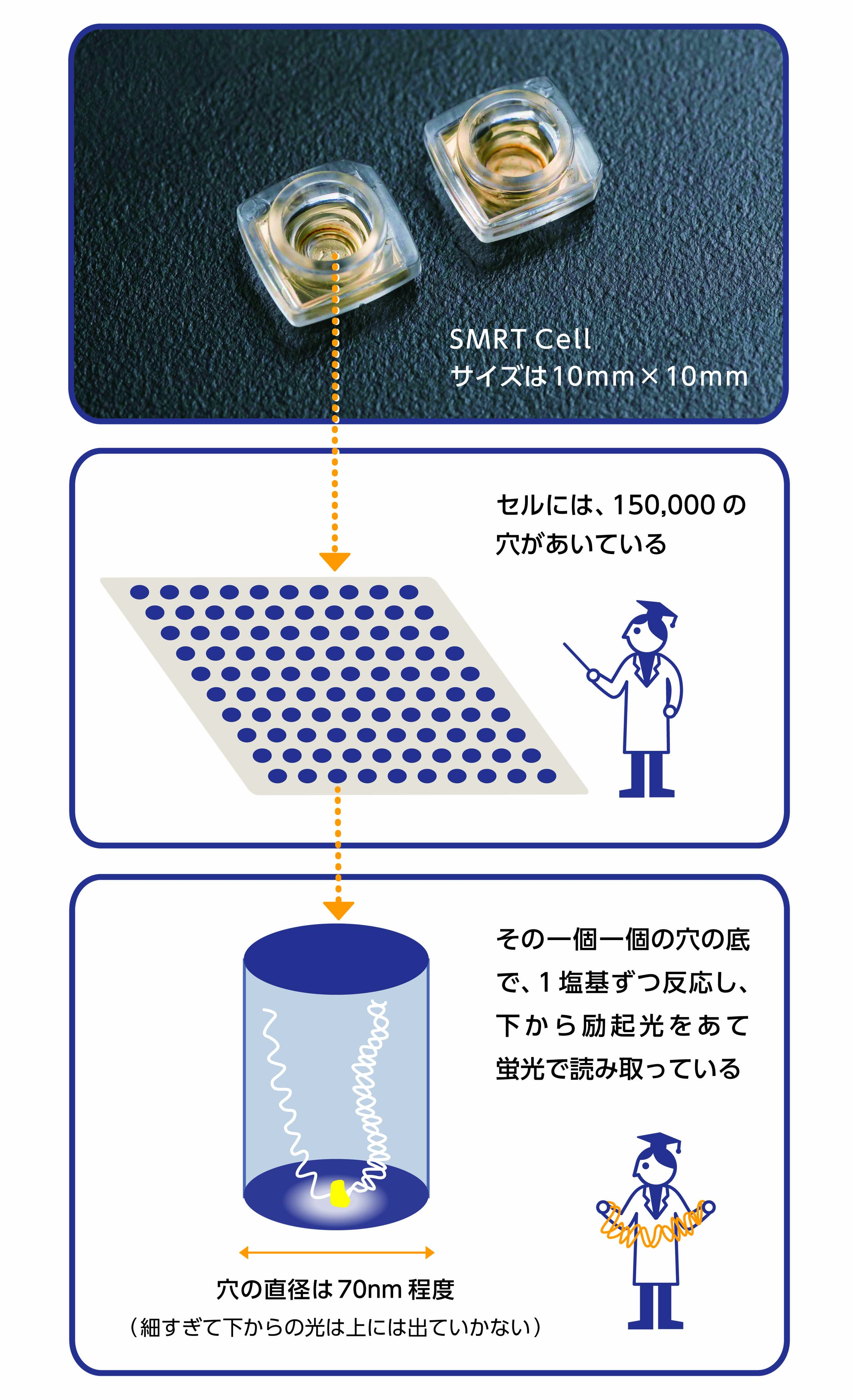 長く 直に読む技術へ シークエンサーの進歩 ようこそゲノムの世界へ