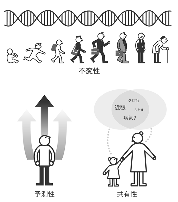 遺伝情報不変性予測性共有性