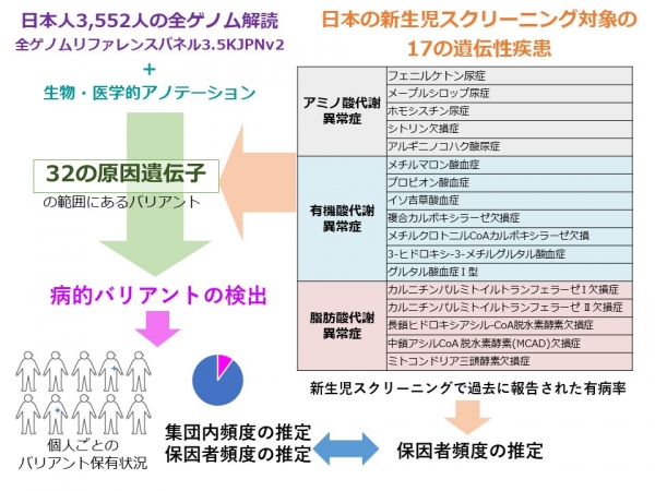 タンデム マス スクリーニング